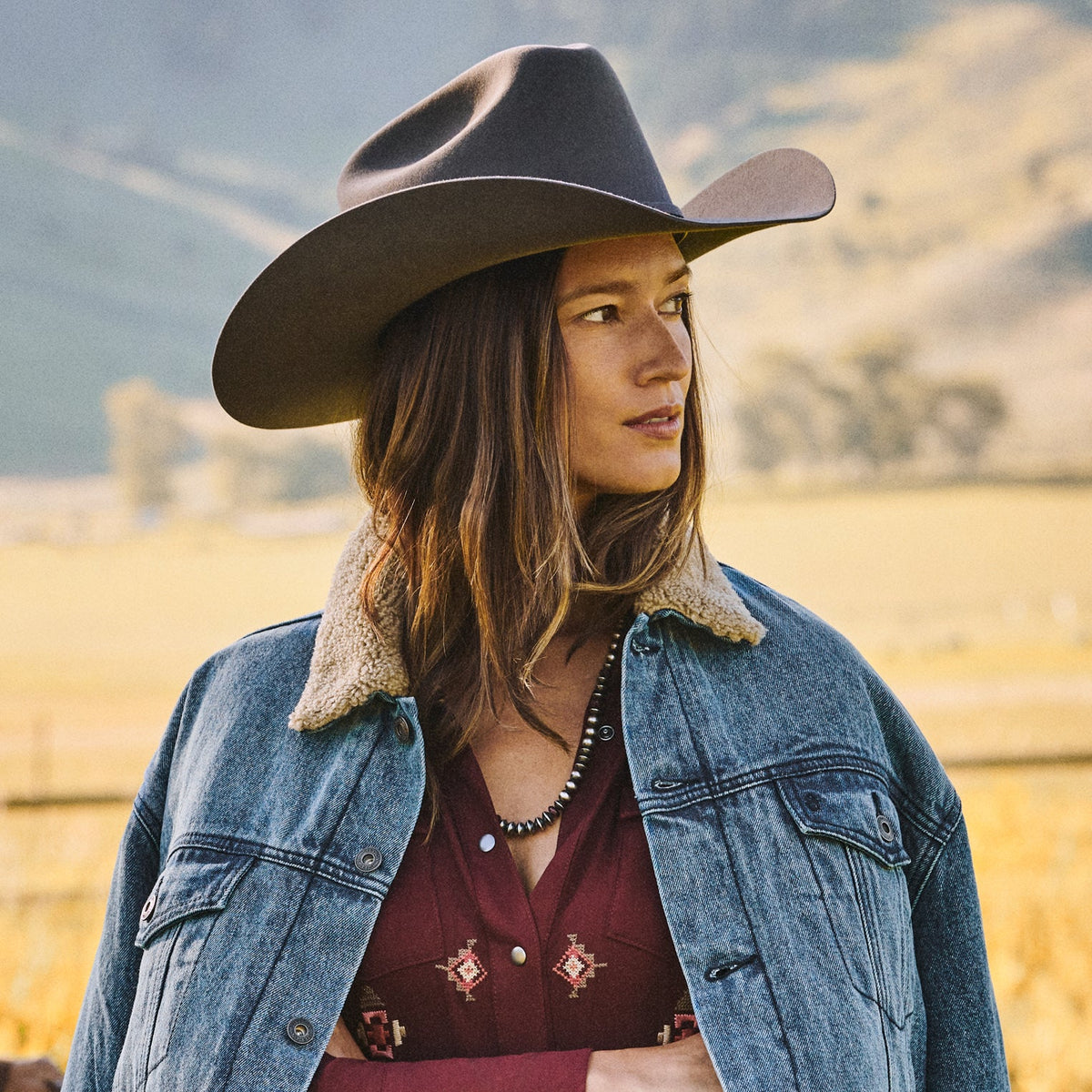 Stetson Skyline 6X Cowboy Hat