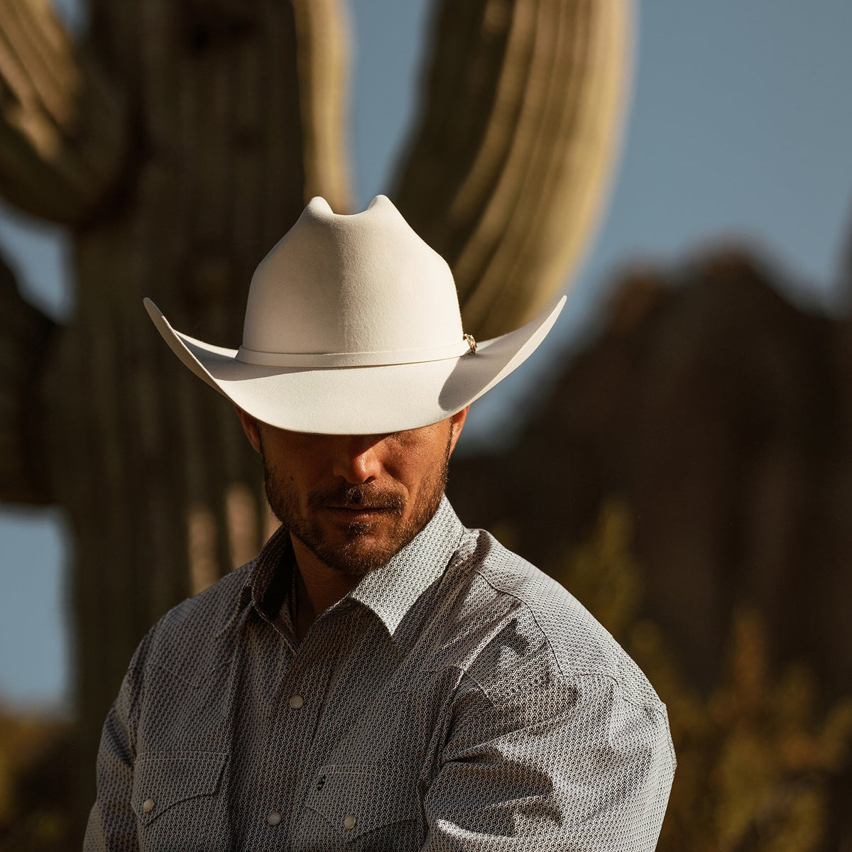 Stetson Shasta 10X Premier Cowboy Hat