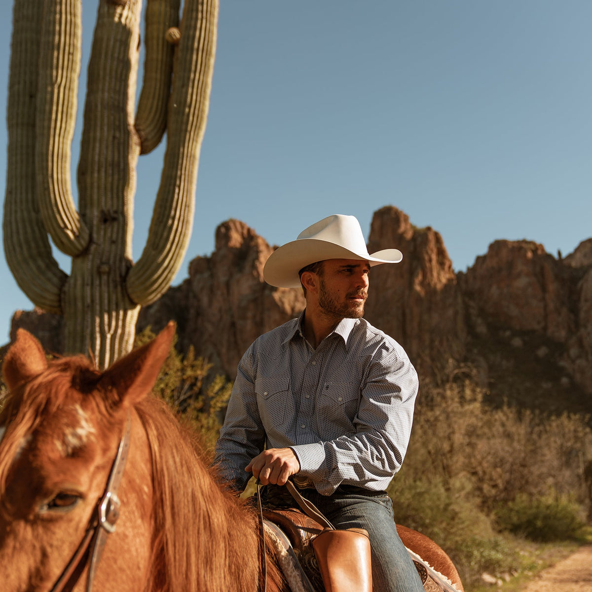 Stetson Shasta 10X Premier Cowboy Hat