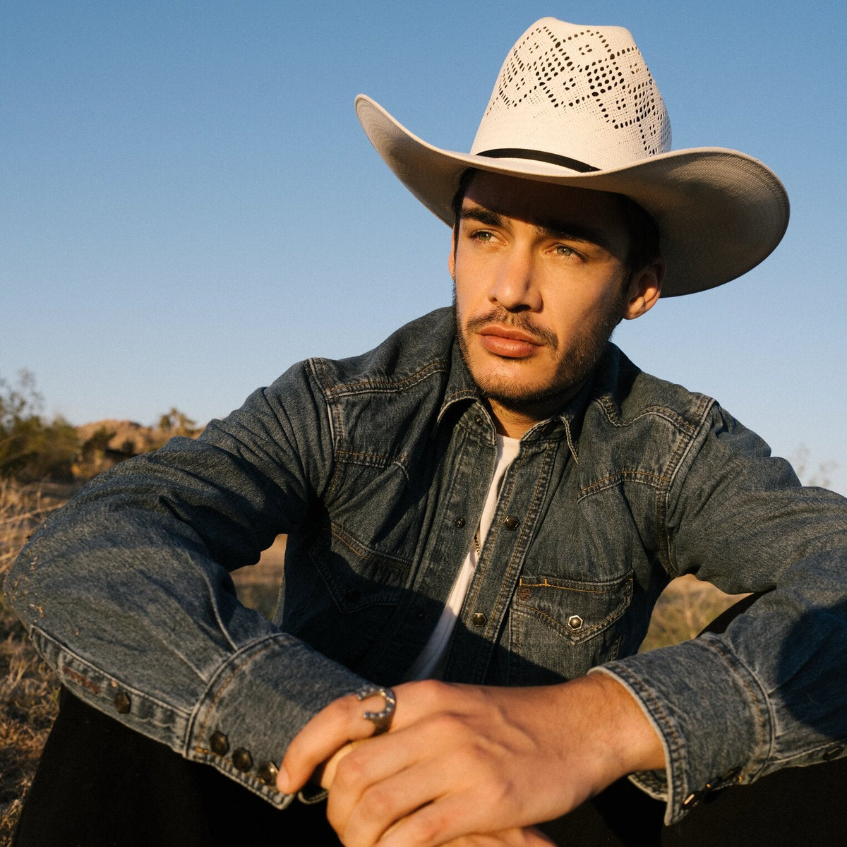 Stetson Classic Denim Shirt