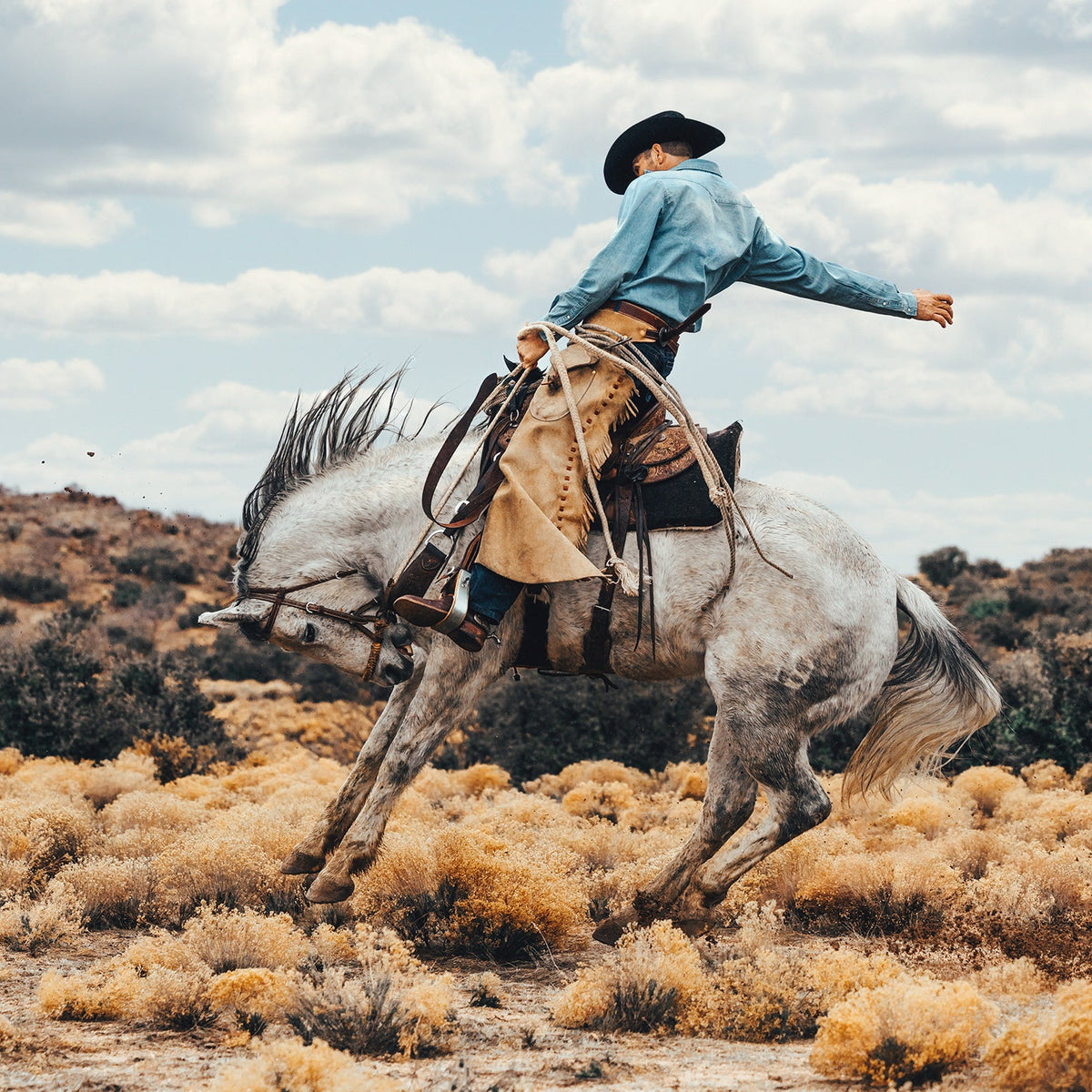 Stetson Long-Sleeved Denim Shirt