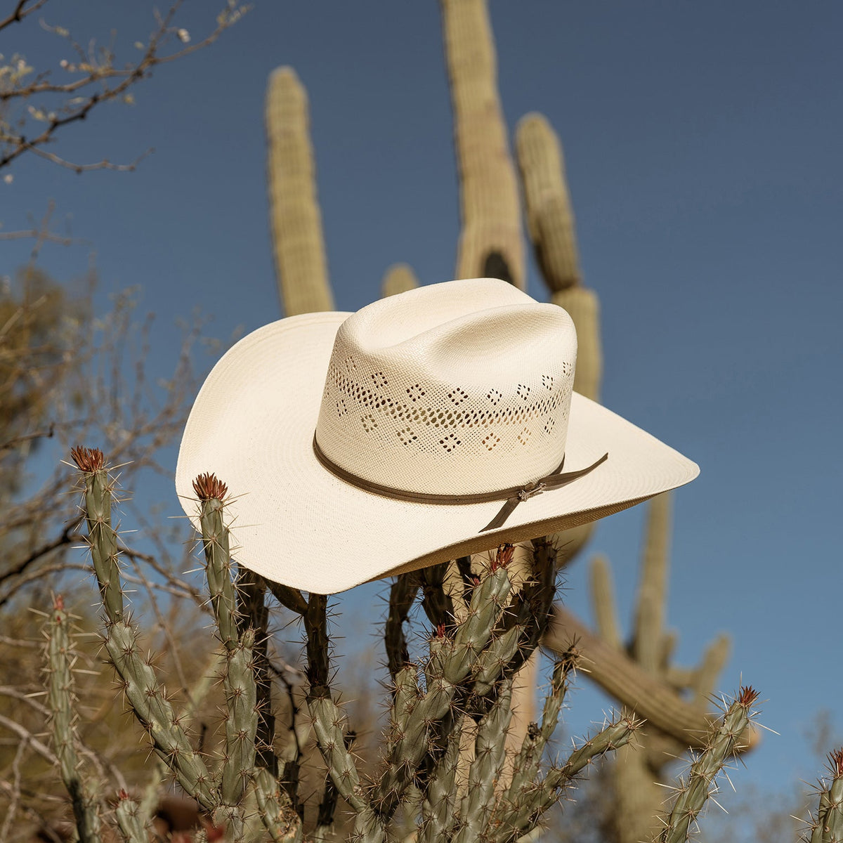 Stetson Baker 20X Straw Cowboy Hat