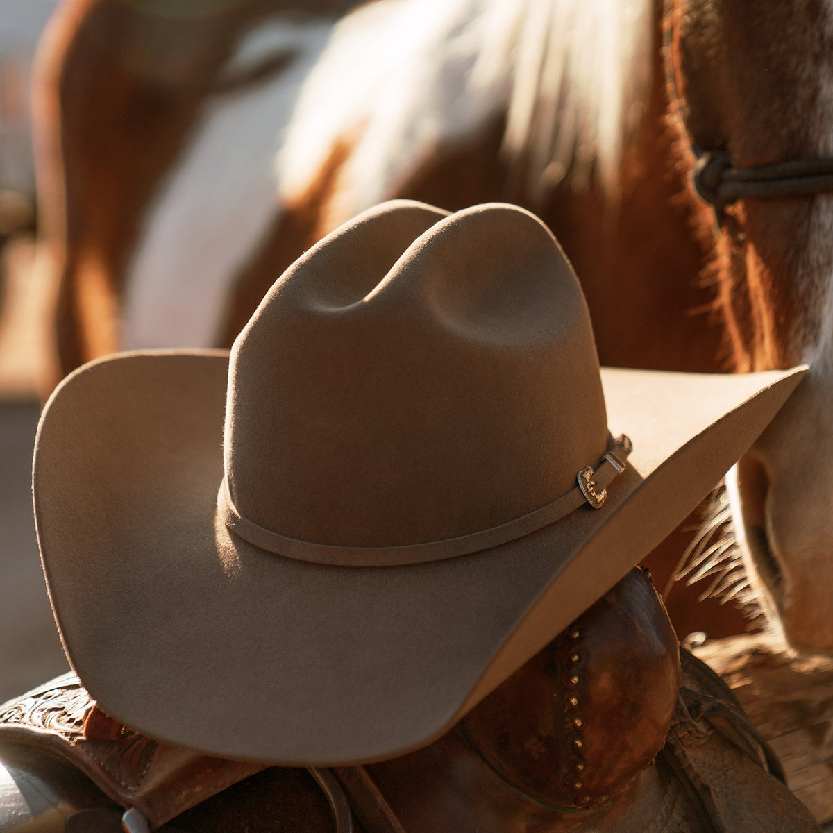 Stetson Skyline 7242 6X Cowboy Hat