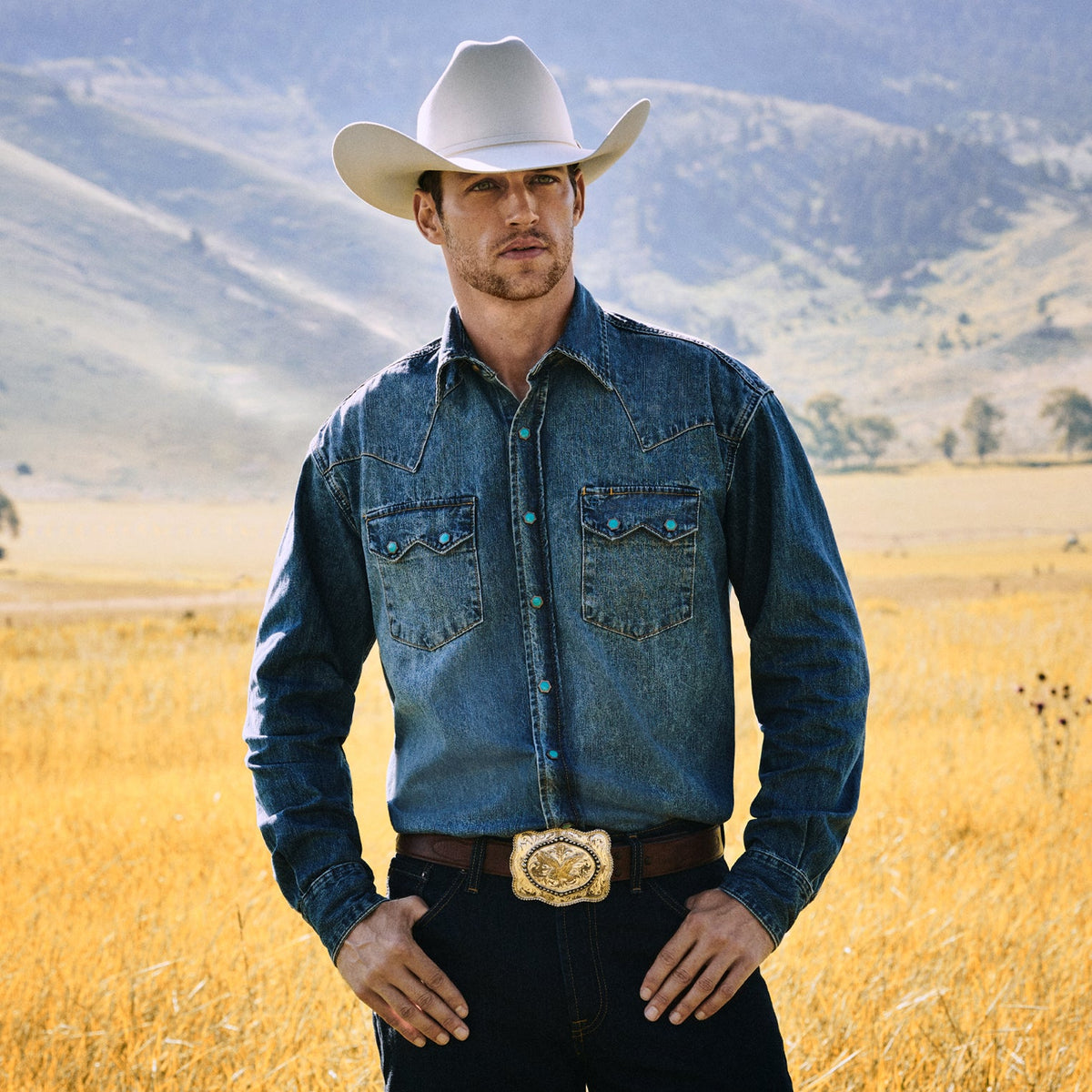 Stetson 1520 Fit Standard Straight Leg Jean