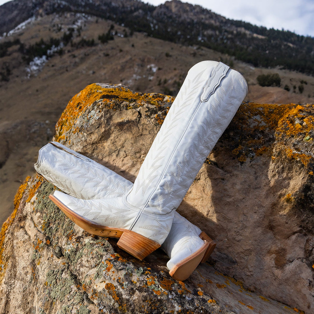 Stetson Sarah Boots