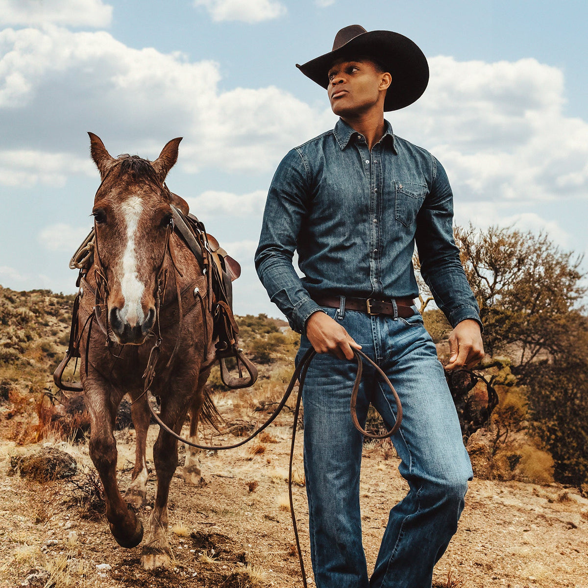 Stetson Dark Denim Western Shirt